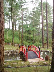  Postcard Moment: Baguio Botanical Garden